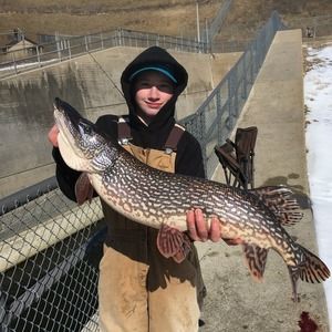 Meet your Posher, Logan